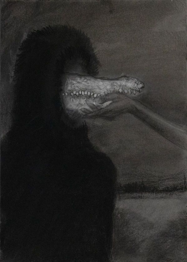 Image Description
