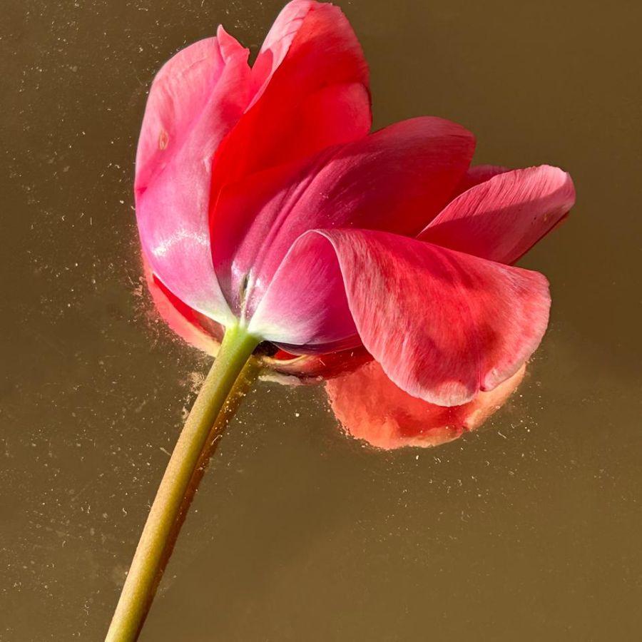 No: 24, Fine Art Pigment Print, 17 x 13 cm, Ed. 1/7
