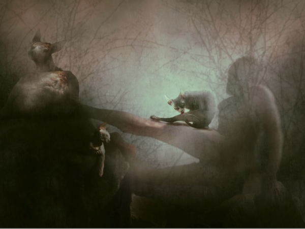 Veiled Shadows, 2025, Oil on canvas, 120 x 90 cm.