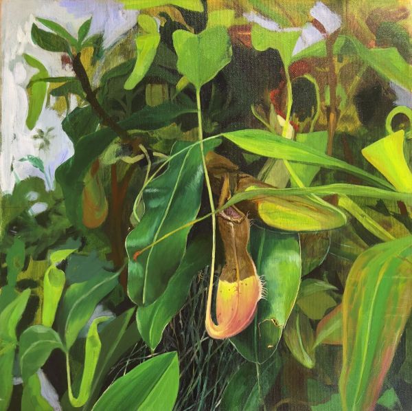 Untitled, 2024, Oil on canvas, 50 x 50 cm.