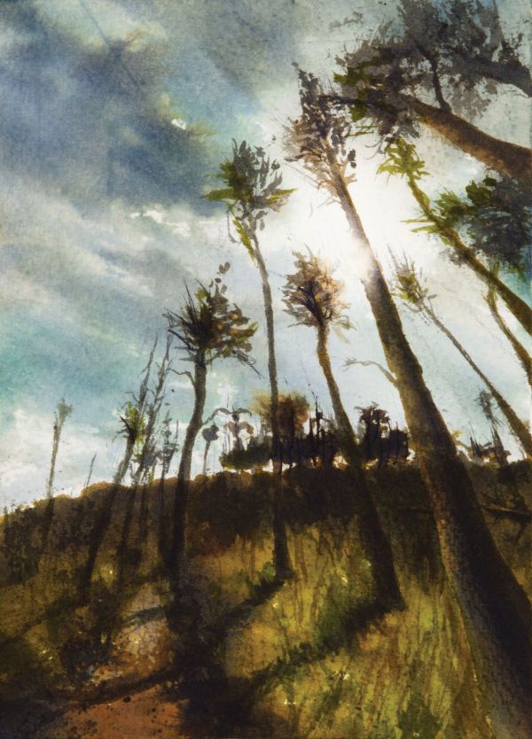 Tatoi, 2024, Ink on paper, 18 x 24 cm.