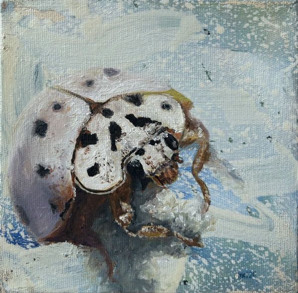 Untitled, 2020, Oil on canvas, 15 x 15 cm.