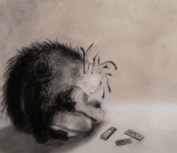 What Am I Going To Do With All These Remotes?, 2022, Charcoal on paper, 37 x 42 cm