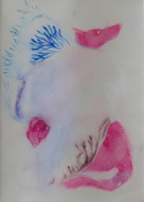 Beatitude of Chrysallis, 2022, Soft pastel on paper, 63 x 57 cm