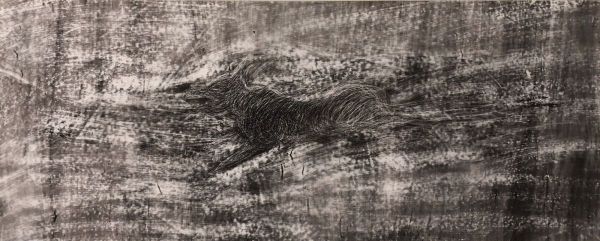 Dog, 2023, Mixed media on acetate, 18 x 48,5 cm.