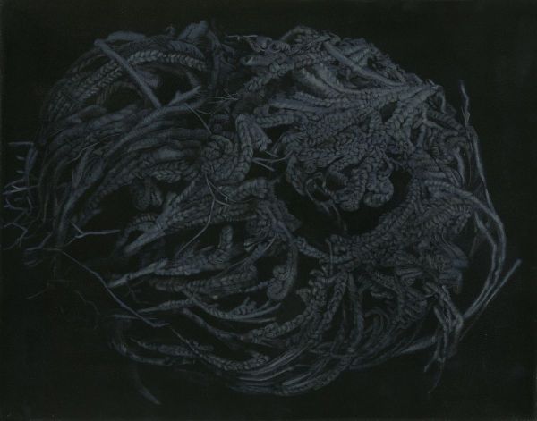 Anastatica Hierochuntica III, 2017, Mixed media on paper, 40,5 x 48 cm.