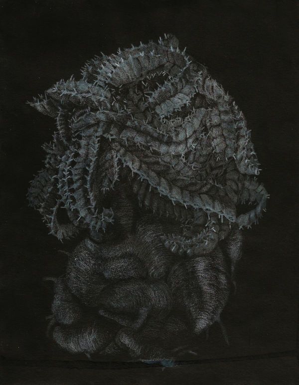 Euphorbia Stellata, 2020, Mixed media on paper, 25 x 20 cm.