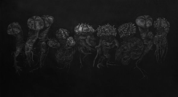 Lophophora, 2020, Mixed media on paper, 77 x 133 cm.