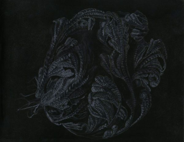 Selaginella Lepidophylla III, 2017, Mixed media on paper, 40,5 x 48 cm.