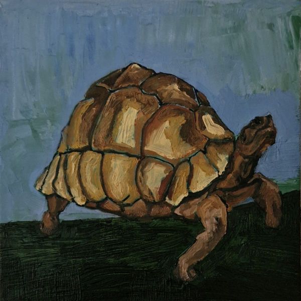 And A Turtle, 2024, Oil on canvas, 20 x 20 cm