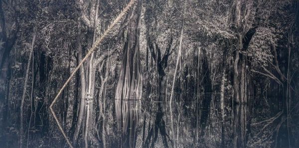 ArAdA #1, 2025, FUJİFİLM Crystal Archive Lustre Paper Mounted on Forex w/alm brace tube hanging, 132 x 72  cm.