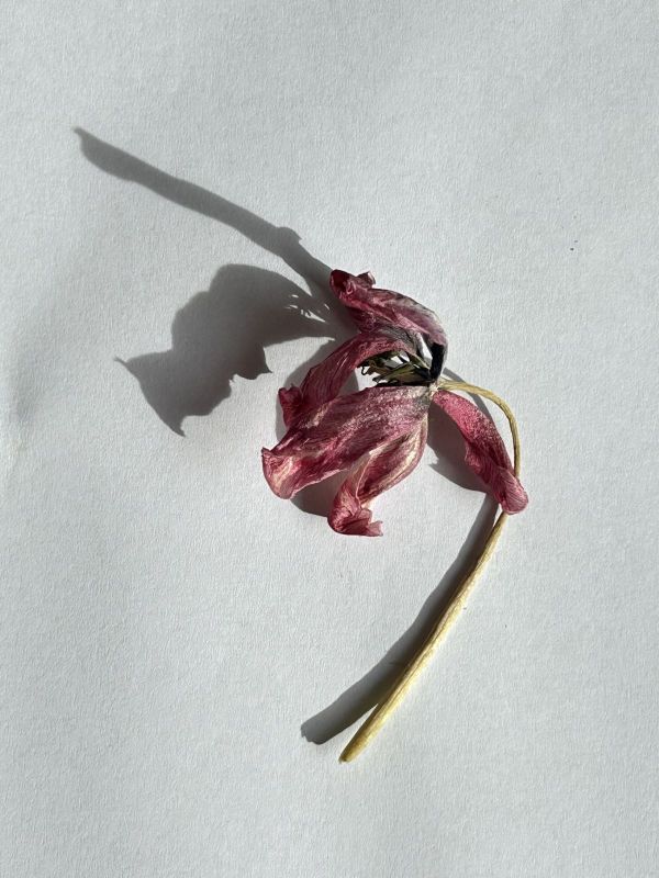 No.21, 2025, Fine art pigment print, 12.7x17 cm