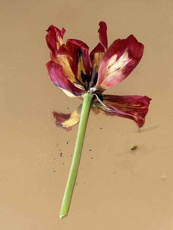 No.28, 2025, Fine art pigment print, 22.5x30 cm