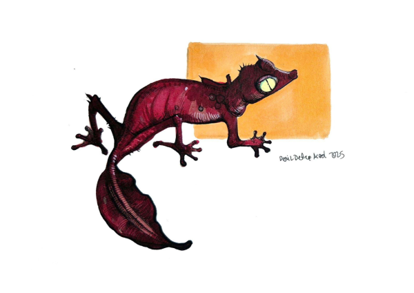 Gecko Core, 2025, Ecoline on paper, 18 x 20 cm
