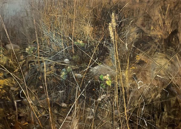 Dry Herbs I, 2024, Mixed technique on canvas, 130 x 150 cm.