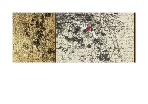 BEFORE EVER AFTER 06, 2024, CGD, 42 x 59.5