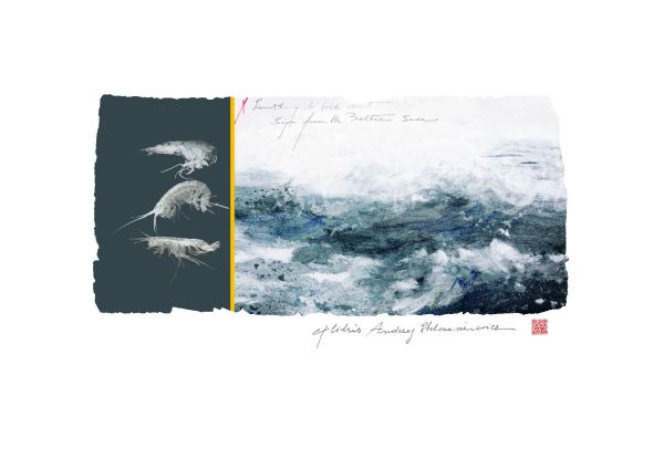 EX LIBRIS ANDRZEJ  STELMASIEWICZ, 2018, CGD, 146 x 78