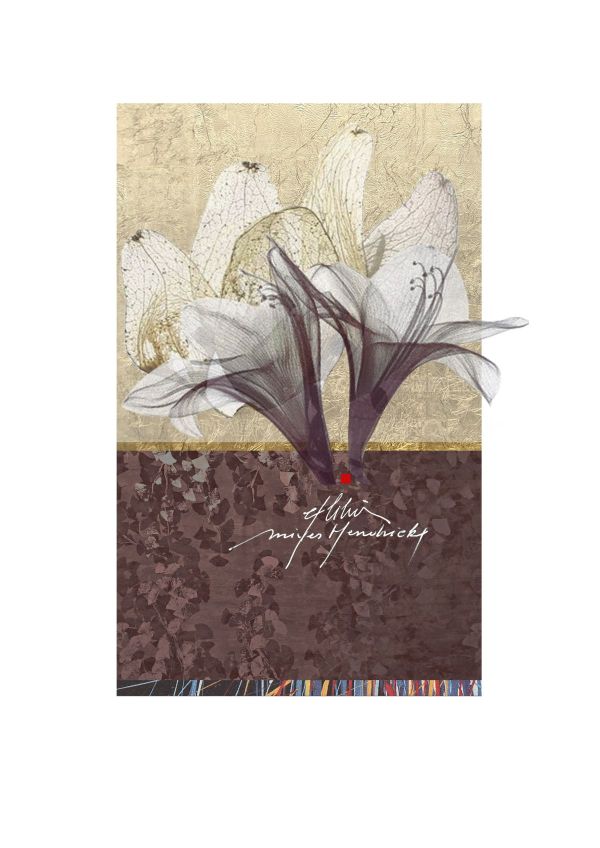 EX LIBRIS MIYES HENDRICKX, 2023, CGD, 88 x 143