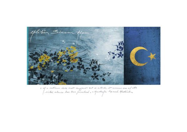 EX LIBRIS SINAM ALGAN, 2024, CGD, 63 x 165