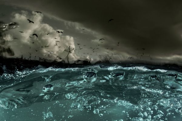 Van, 2018, Unique Archival Pigment Print, 75 x 110 cm